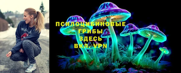 МДПВ Алзамай