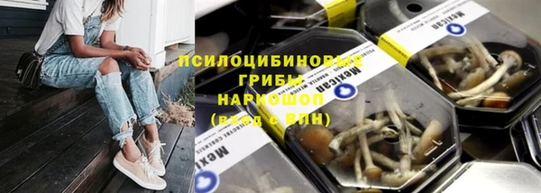 МДПВ Алзамай