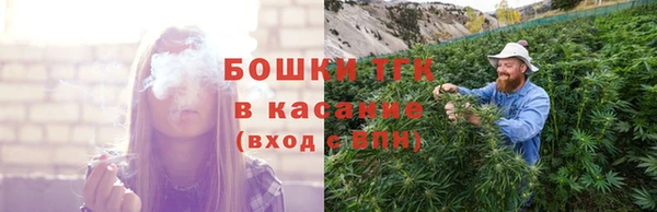 молекула духа Алексеевка