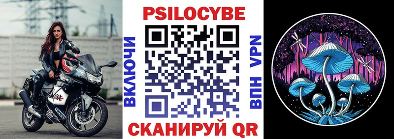 Галлюциногенные грибы Psilocybine cubensis  Петрозаводск 